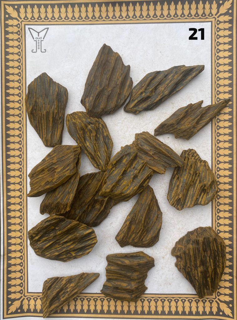 Gaharu Sanai Bentuk