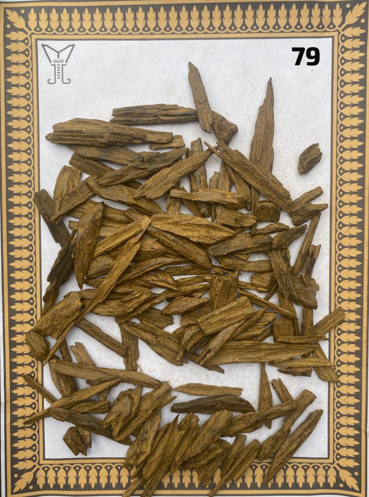 Beli Gaharu Indonesia